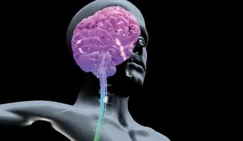 La falta de sueño acelera el envejecimiento del cerebro  