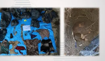 México: localizan fosa clandestina con restos de al menos 166 personas en Veracruz