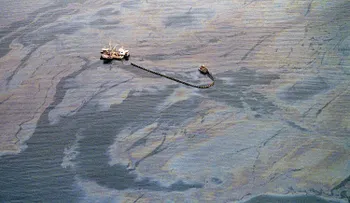 Trump quiere perforar petróleo en el frágil refugio de vida salvaje de Alaska