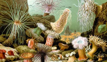 Corregir a Darwin: los científicos revolucionan la teoría de evolución