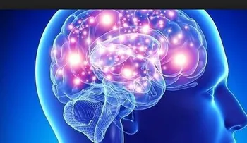 La deficiencia de vitamina E puede dañar el cerebro