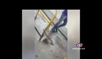 ADVERTENCIA DE IMAGENES MUY FUERTES: Un bebé y sus padres fueron impactados por guagüero