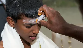 La alcachofa, un remedio natural para prevenir y tratar la migraña