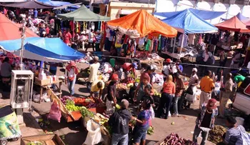 Alcaldía de Santiago no dice dónde reubicará mercado de â??Pulgaâ?