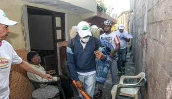 Fundación inicia jornada de fumigación para combatir mosquito del zika