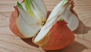 Corta una cebolla en 4 pedazos y colócalo en tu hogar. ¿La razón? ¡Brillante! 