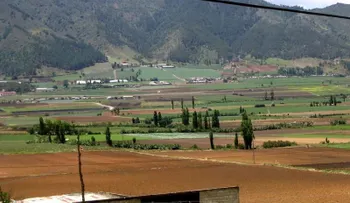 Imponen prisión preventiva contra dos hombres por delitos ambientales en Constanza