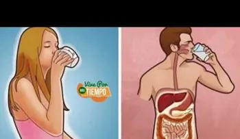 10 razones para tomar agua caliente con el estómago vacío