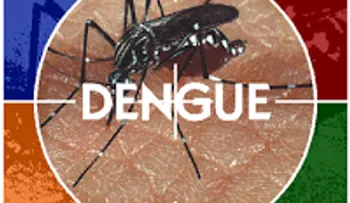 Salud Pública inicia jornada contra el dengue