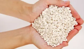 Recurre a la avena para mejorar la apariencia de tu piel