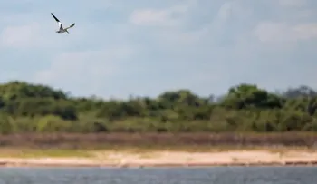 Paraguay quiere dejar de ser el «secreto mejor guardado» de Suramérica