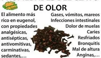 El clavo dulce te ayuda a eliminar todos estos problemas de salud: Por qué no lo habían dicho antes 