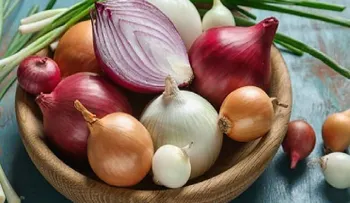 Conserva tus cebollas frescas con la técnica de cebolla imperdibles