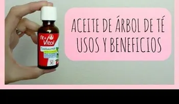 Conoce los beneficios del aceite de árbol de té 