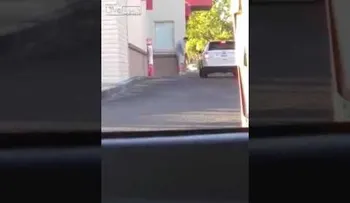 Un hombre hambriento roba un paquete de comida rápida en la ventanilla para autos