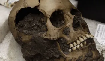 México: Escalofriante hallazgo restos compañeros de Hernán Cortés sacrificados por los aztecas