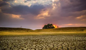 Ya agotamos todos los recursos naturales renovables del 2017
