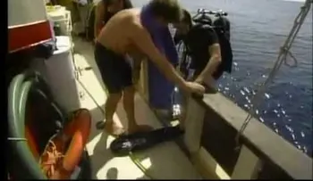 Triángulo de las Bermudas: Secretos Asombrosos (VIDEO)