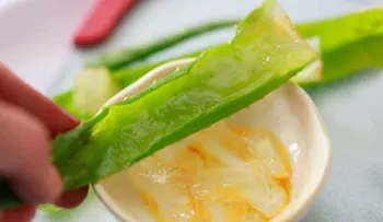 Cómo perder peso con el aloe vera y la piña (Recetas)