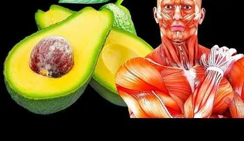 Genial: Si come un aguacate todos los días,¿qué pasará con tu cuerpo?