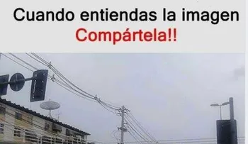 Quién es más inteligente; observa las imágenes