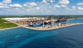 Manglares de Boca Chica alcanzan 86 % de supervivencia en su primer año