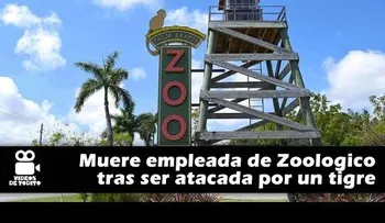 Tigre mata a cuidadora en el zoológico de Florida (VIDEO)