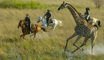 Las joyas de los trotamundos: las mejores aventuras a caballo en el mundo