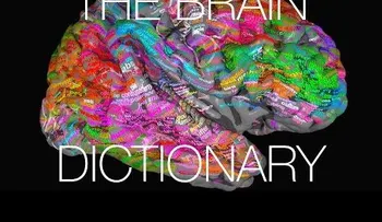 Crean un atlas semántica del cerebro que puede leer la mente (VIDEO)