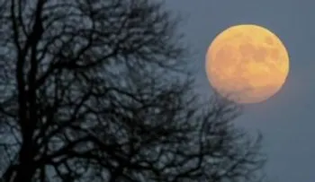 El claro de Luna será superluminoso el lunes 14 de noviembre