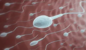 7 datos que debes conocer sobre el semen