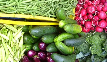 Estos 5 alimentos harán que tu piel se vea suave y radiante