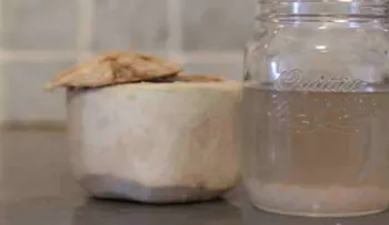 Agua de coco fermentada: previene el cáncer y cura el intestino