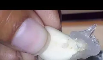 Te lamentaras por siempre si no untas un diente de ajo con vick vaporub, este es el mejor truco