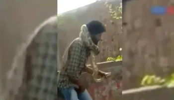 Un encantador de serpientes fue estrangulado por su propia pitón y los testigos creyeron que era un truco 