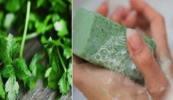 Jabón de perejil para quitar manchas del rostro: Fácil de preparar