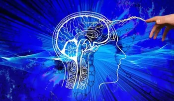 Cerebro de mujer es 3 años más joven que la del hombre