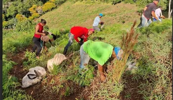 UTEPDA desarrolla jornada de reforestación en PDA Los Fríos, Azua