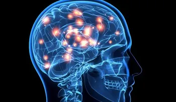 El cerebro se nutre de experiencias pasadas para mejorar, según estudio