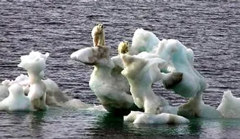 Los hombres desaparecerían del mundo por el cambio climático 