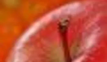¡¡¡Coloca tus pies en vinagre de manzana y mira lo que sucede !!!