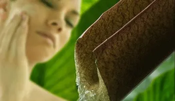 Manchas en la piel, remedios caseros y naturales para quitarlas