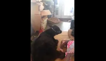 Una niña que da una explicación genial (Video)
