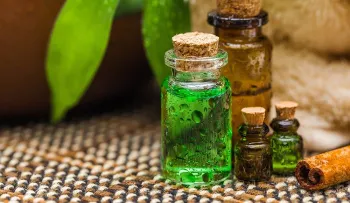 Aceite de árbol de té y todos sus beneficios