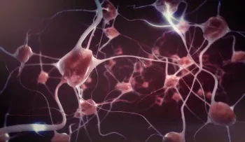 Test de Freud para reconocer nuestra salud mental