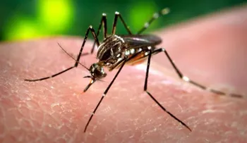 El virus del Zika amenaza a más de 2.000 millones de personas 