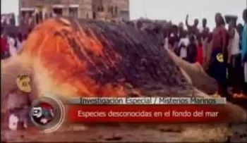 Extranormal "El Monstruo del Lago Ness y sirenas" increibles videos