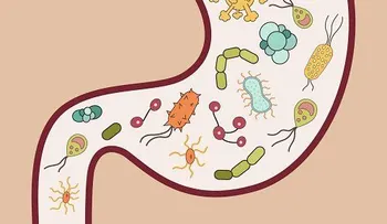 Descubre lo que los gases intestinales dicen sobre tu salud