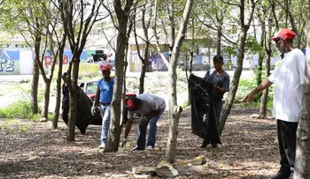 Medio Ambiente promete a Santiago entregar pronto Parque Central y Jardín Botánico