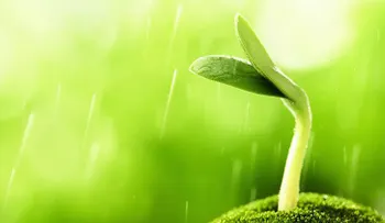 Celebran desarrollo científico de un método de cultivo que acabaría el hambre en el MUNDO